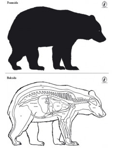 Björn Höger Stor Papper