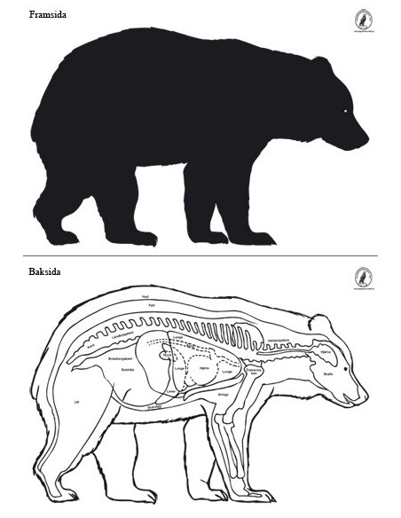 Björn Höger Stor Papper