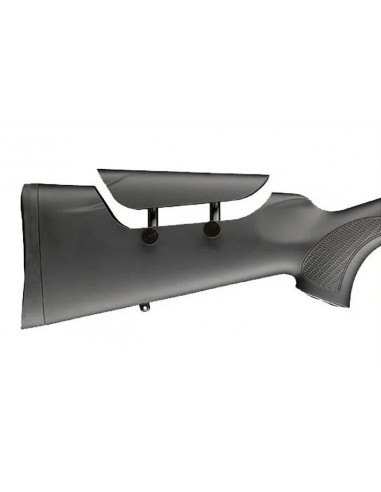 Sauer 101 Classic XTA 308W