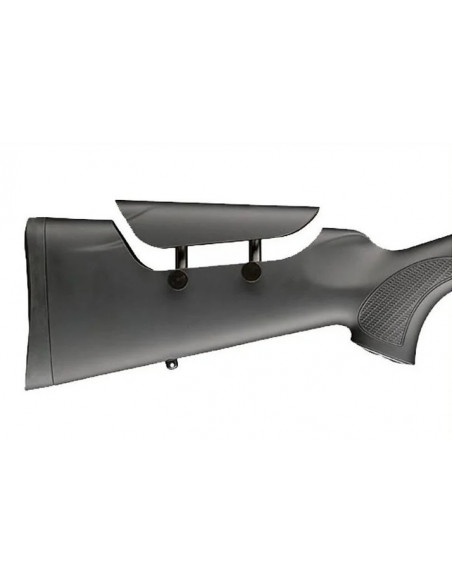 Sauer 101 Classic XTA 308W