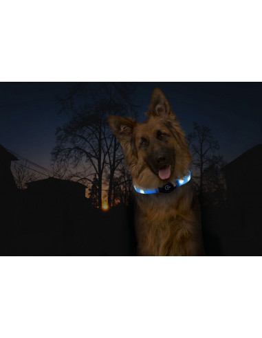 BLINKHALSBAND Justerbar med USB