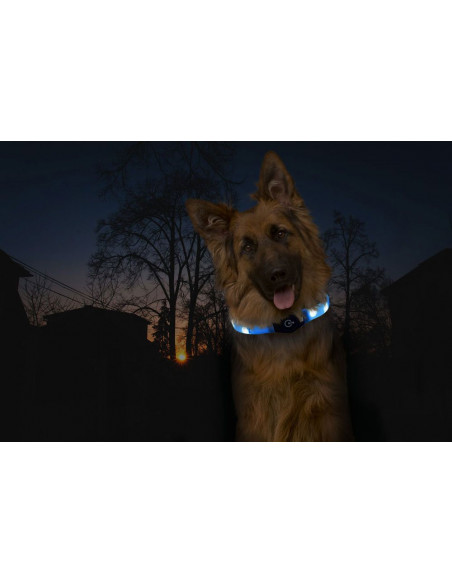 BLINKHALSBAND Justerbar med USB