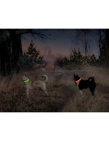 BLINKHALSBAND Justerbar med USB