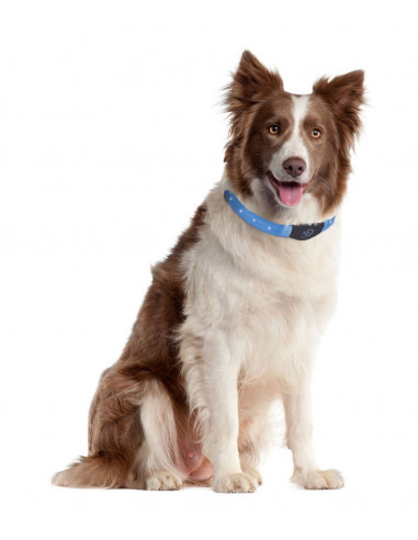 BLINKHALSBAND Justerbar med USB