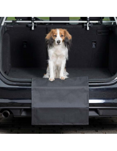 Skydd för kofångarn