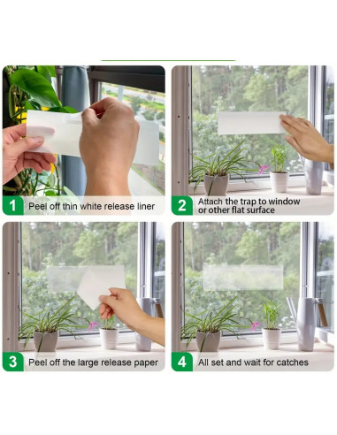 Flugfångare för fönster 4-pack