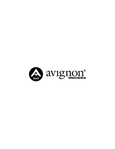 Avignon
