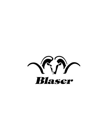 Blaser
