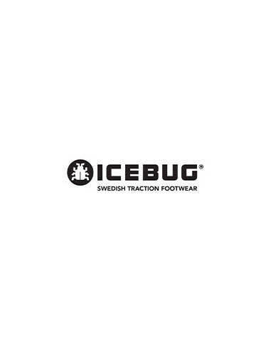 Icebug